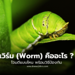 เวิร์ม (Worm) คืออะไร โจมตีแบบไหน พร้อมวิธีป้องกัน