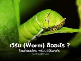 เวิร์ม (Worm) คืออะไร โจมตีแบบไหน พร้อมวิธีป้องกัน