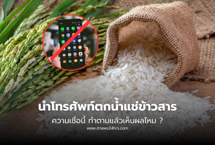 นำโทรศัพท์ตกน้ำแช่ข้าวสาร ทำไมบางคนบอกห้ามทำ